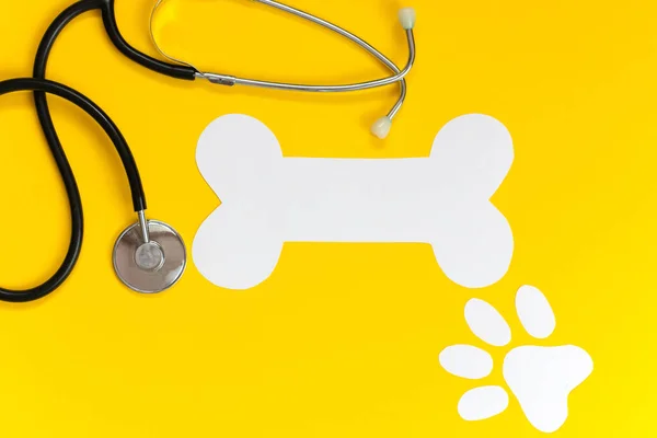 Veterinario profesional